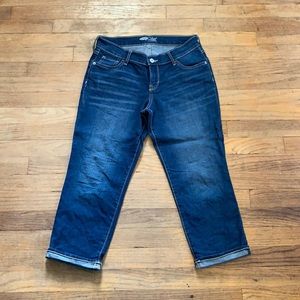 Old Navy Flirt Cropped Jeans